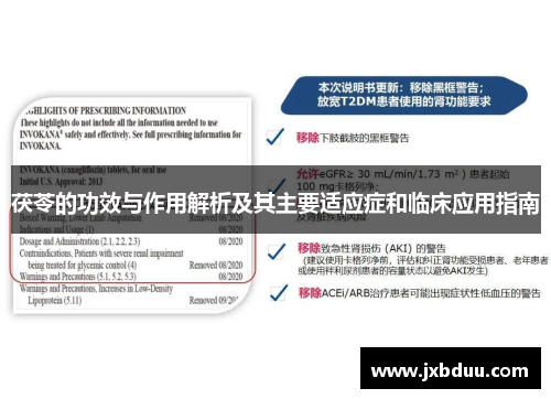 茯苓的功效与作用解析及其主要适应症和临床应用指南