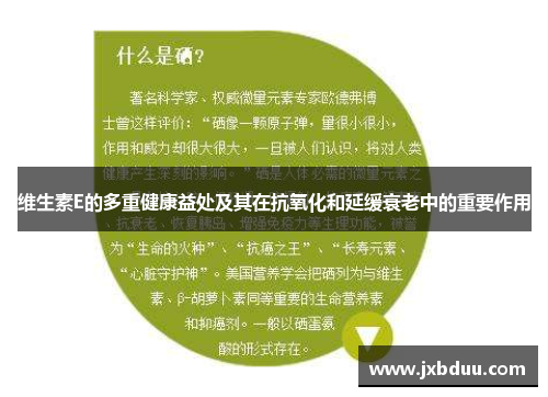 维生素E的多重健康益处及其在抗氧化和延缓衰老中的重要作用